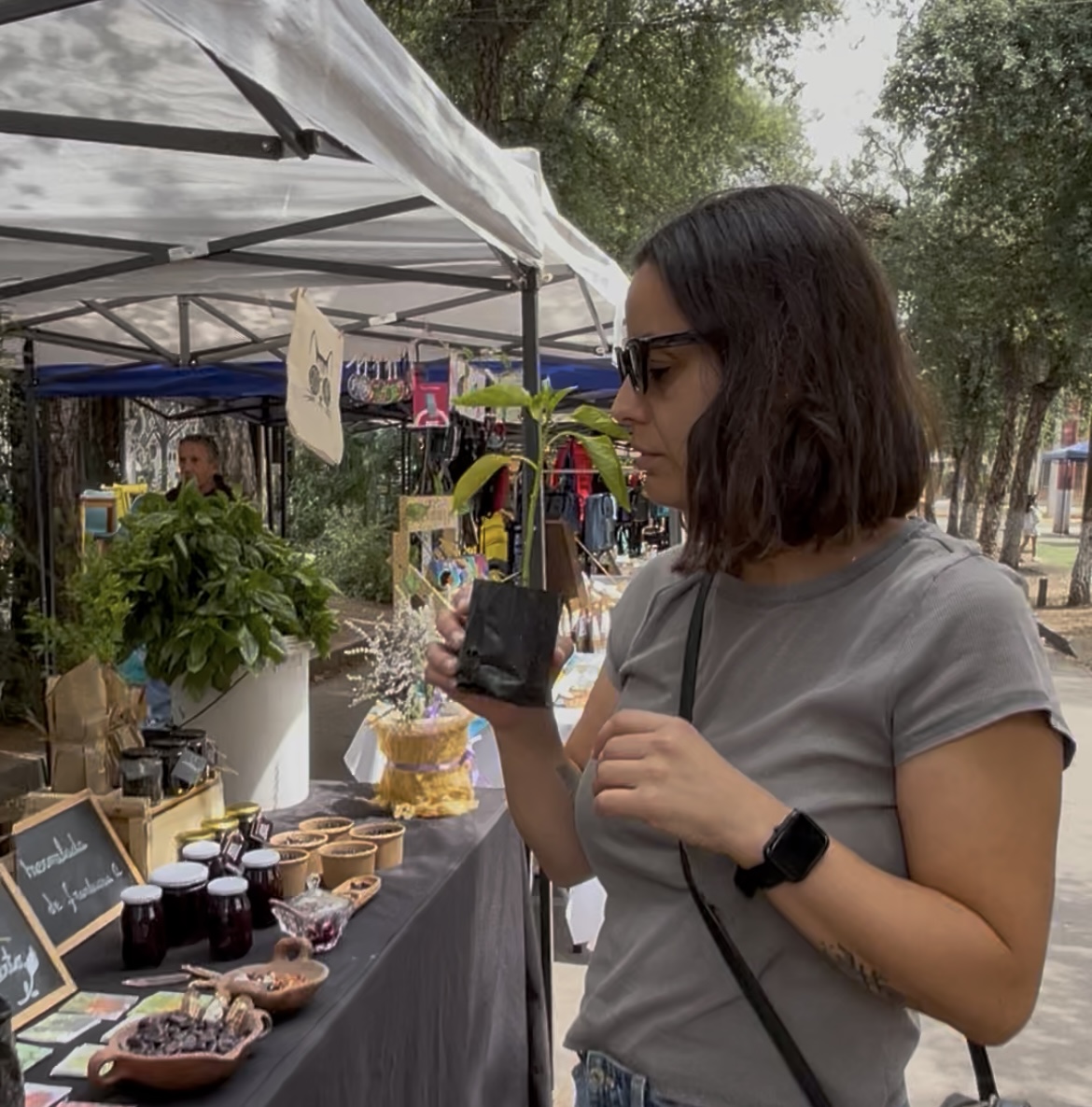 Una apuesta a futuro: economía circular y servicios sustentables